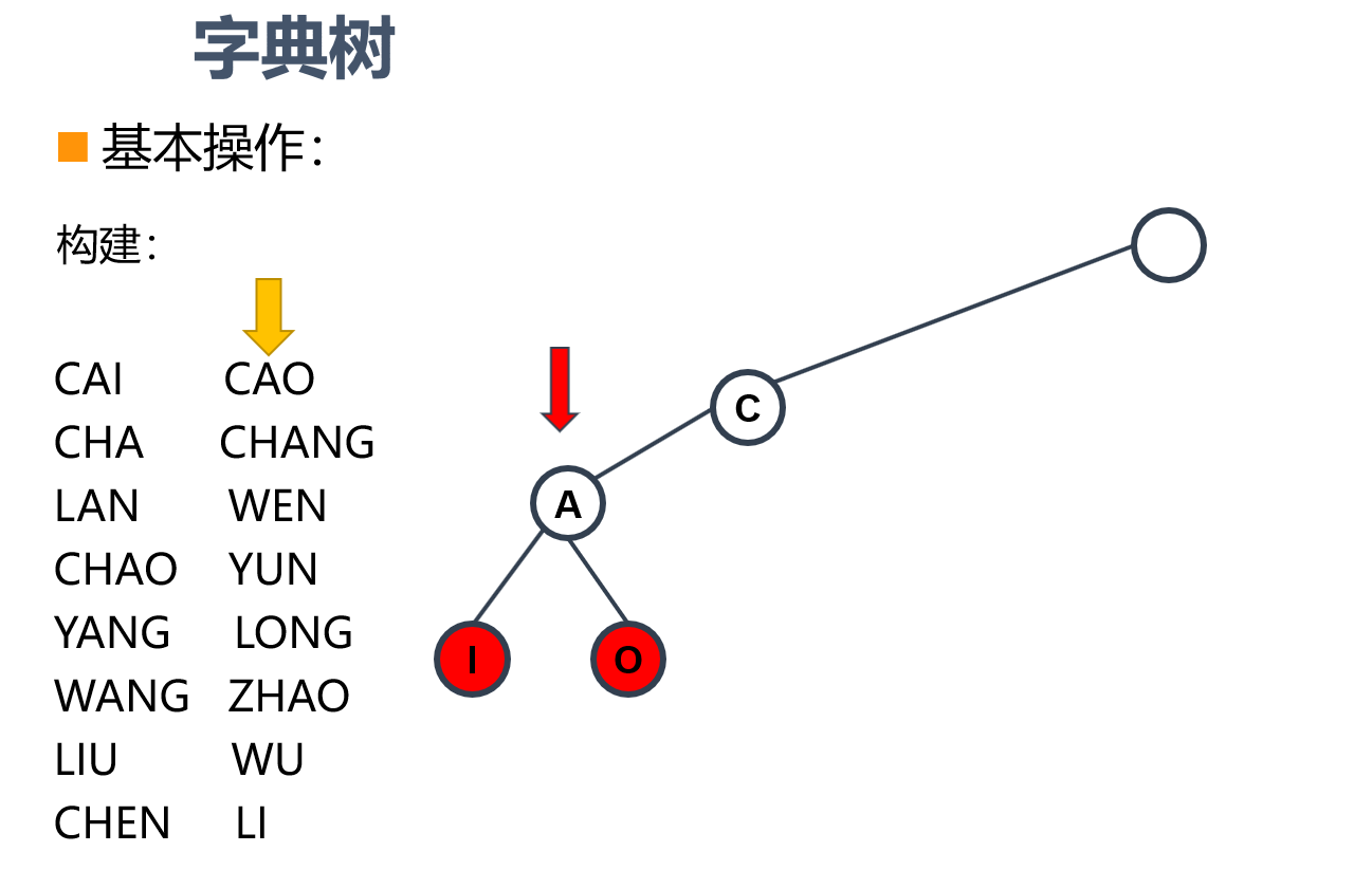 字典树构建